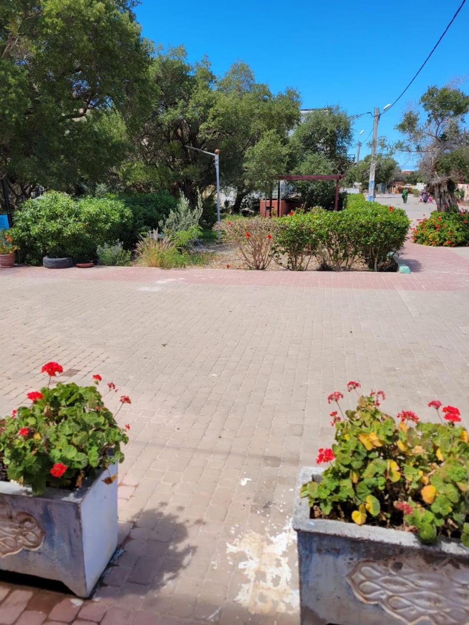Imi Ouaddar Apartment Just Steps From The Beach Agadir n'Ait Sa Exterior foto